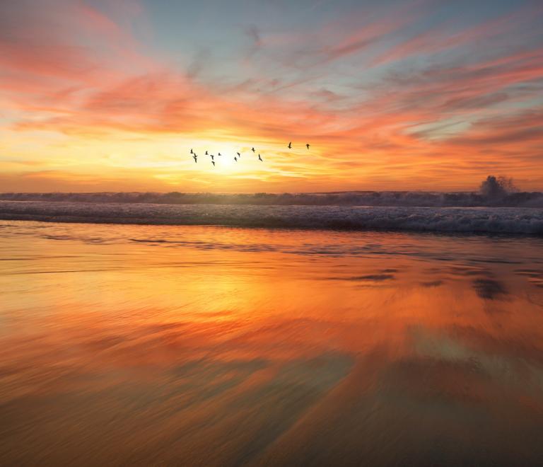 Sample background image