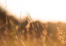 Aardwarmte - hernieuwbare energie 