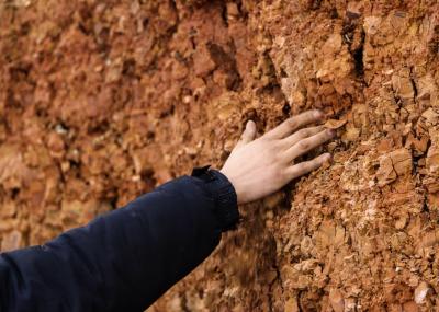 Hand touching brown soil