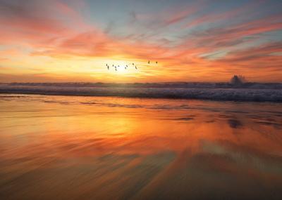 Sample background image